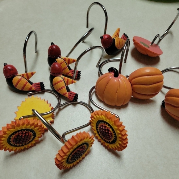 Fall Shower Hooks Pumpkin, Sunflowers, Birds - Picture 1 of 4